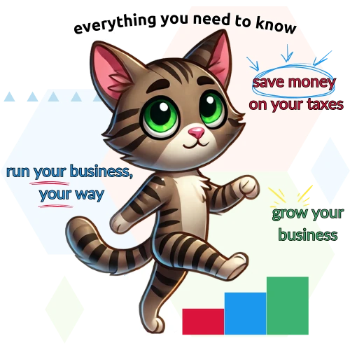 evie OMB Connect Blog Layaboutcats mascot promoting financial education with tips to save money on taxes, run your business, and grow your business